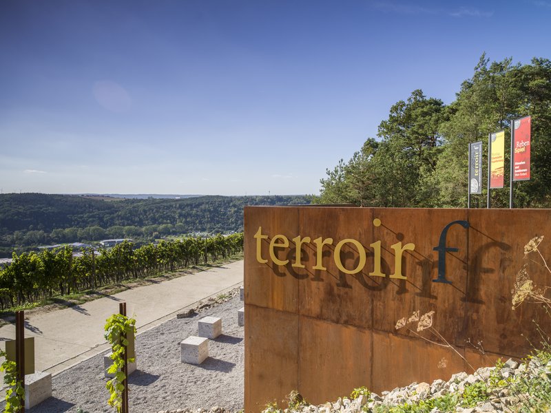 Blick auf terroir f Logo aus Metall, im Hintergrund die Weinberge.