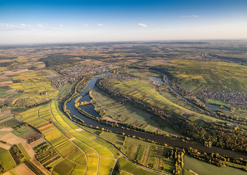 Weinberge und Mainschleife aus der Vogelperspektive.